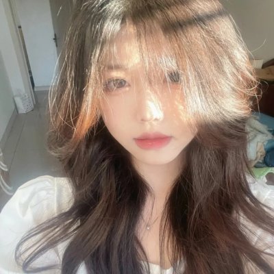 鹬